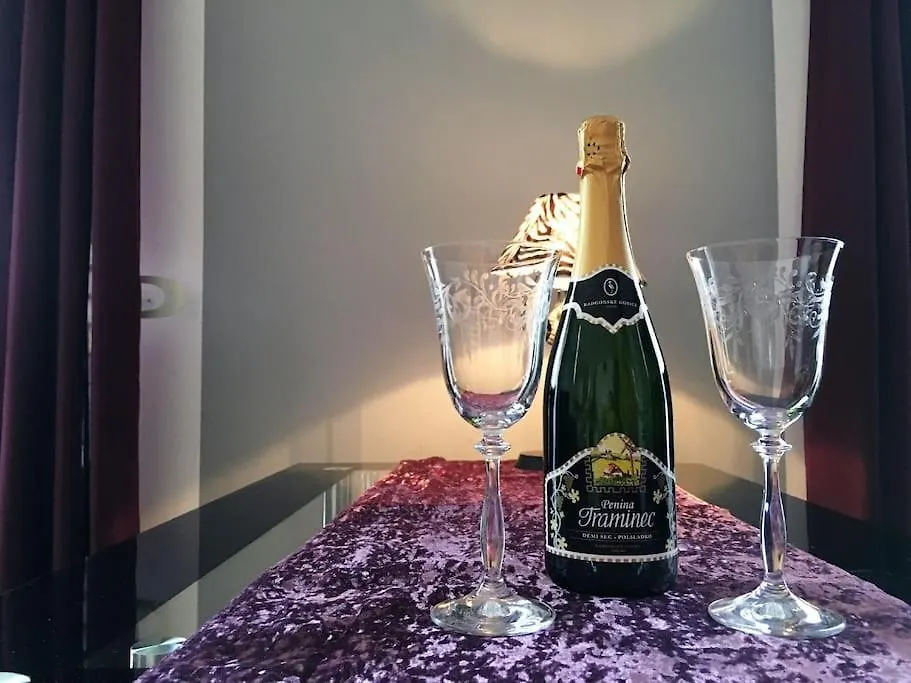 Stylish Boutique Apartment Lublana 0*,